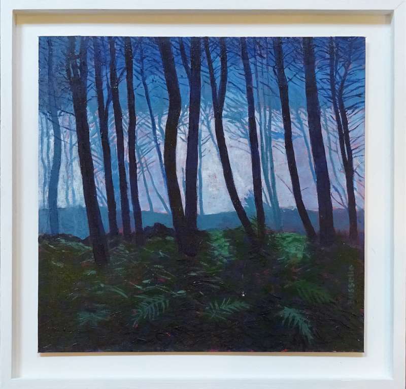 Through the Woods